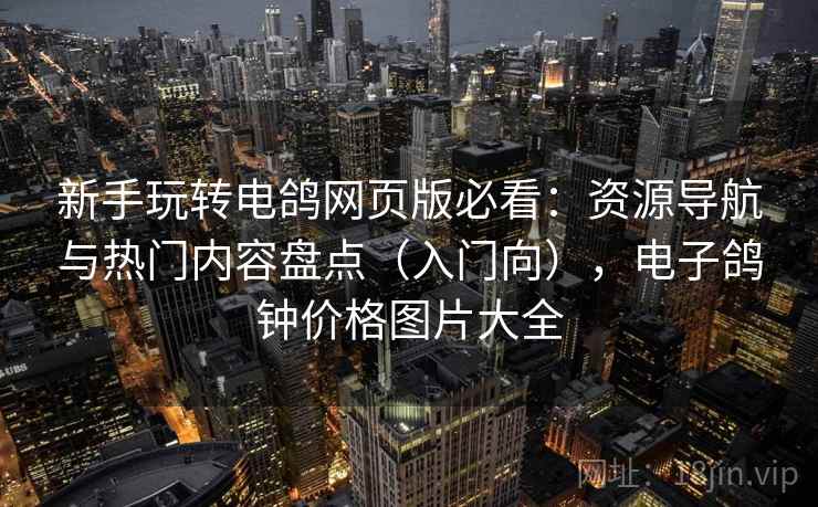 新手玩转电鸽网页版必看：资源导航与热门内容盘点（入门向），电子鸽钟价格图片大全