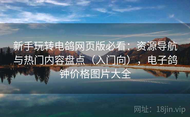 新手玩转电鸽网页版必看：资源导航与热门内容盘点（入门向），电子鸽钟价格图片大全