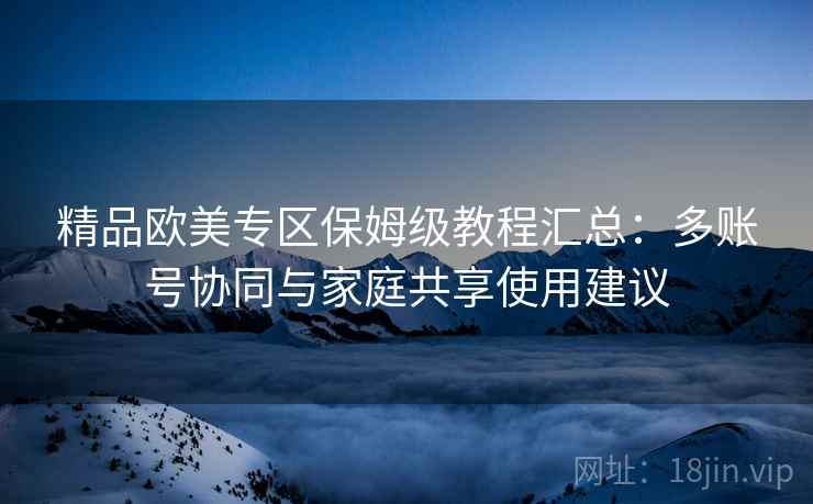 精品欧美专区保姆级教程汇总：多账号协同与家庭共享使用建议