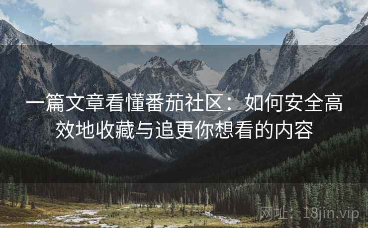 一篇文章看懂番茄社区：如何安全高效地收藏与追更你想看的内容