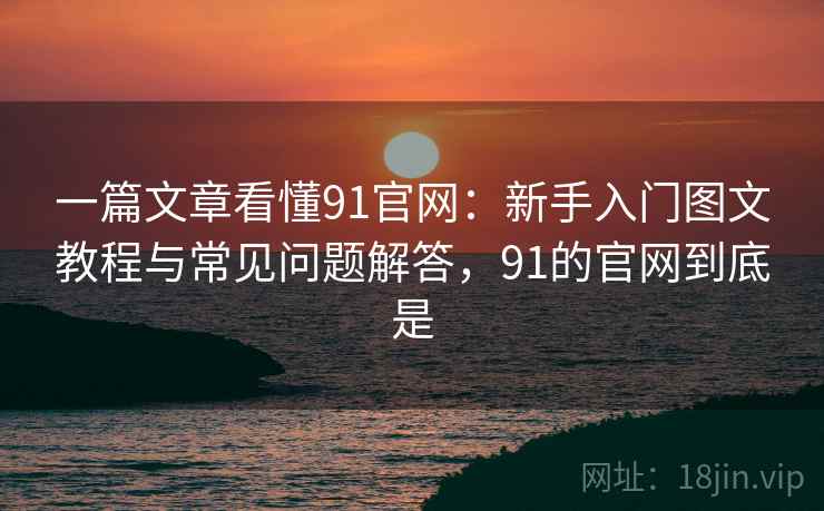 一篇文章看懂91官网：新手入门图文教程与常见问题解答，91的官网到底是
