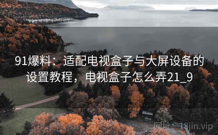 91爆料：适配电视盒子与大屏设备的设置教程，电视盒子怎么弄21_9