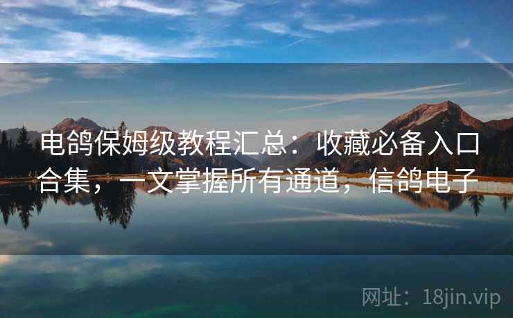 电鸽保姆级教程汇总：收藏必备入口合集，一文掌握所有通道，信鸽电子