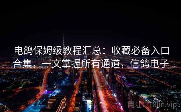 电鸽保姆级教程汇总：收藏必备入口合集，一文掌握所有通道，信鸽电子