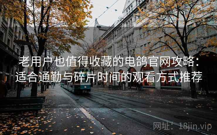 老用户也值得收藏的电鸽官网攻略：适合通勤与碎片时间的观看方式推荐