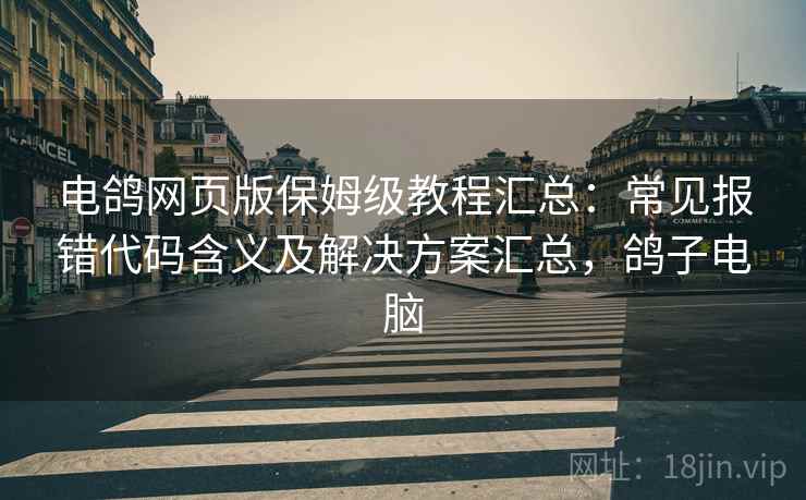 电鸽网页版保姆级教程汇总：常见报错代码含义及解决方案汇总，鸽子电脑