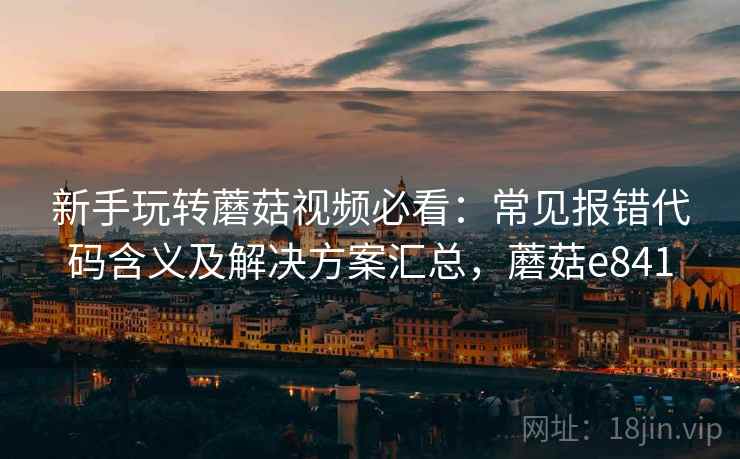 新手玩转蘑菇视频必看：常见报错代码含义及解决方案汇总，蘑菇e841