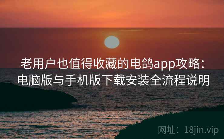 老用户也值得收藏的电鸽app攻略：电脑版与手机版下载安装全流程说明