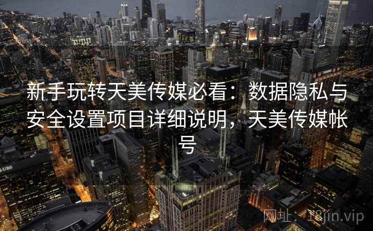新手玩转天美传媒必看：数据隐私与安全设置项目详细说明，天美传媒帐号