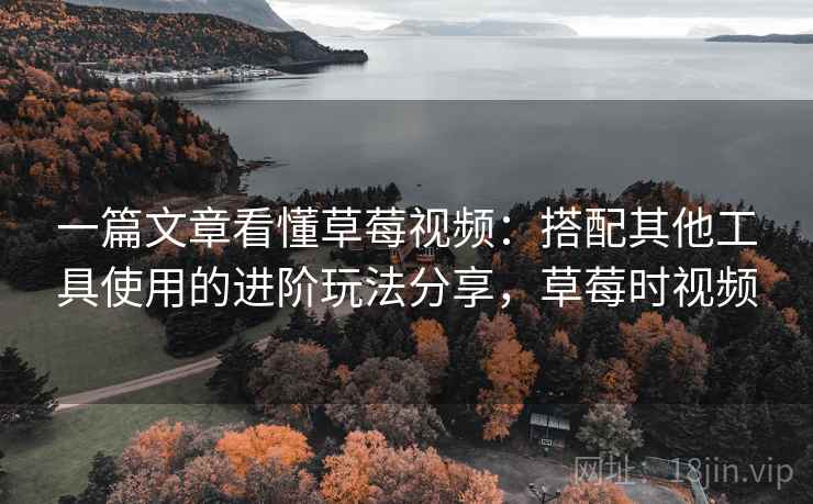 一篇文章看懂草莓视频：搭配其他工具使用的进阶玩法分享，草莓时视频