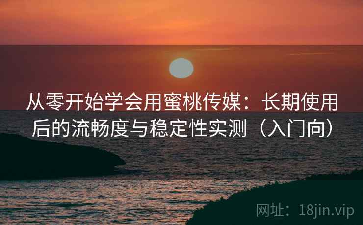 从零开始学会用蜜桃传媒：长期使用后的流畅度与稳定性实测（入门向）