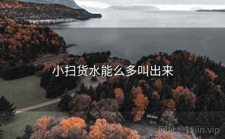 小扫货水能么多叫出来