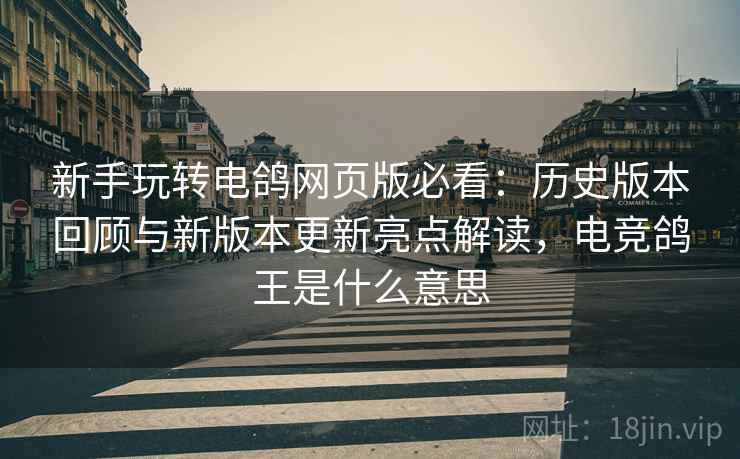 新手玩转电鸽网页版必看：历史版本回顾与新版本更新亮点解读，电竞鸽王是什么意思