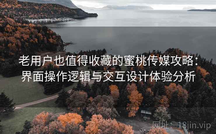 老用户也值得收藏的蜜桃传媒攻略：界面操作逻辑与交互设计体验分析