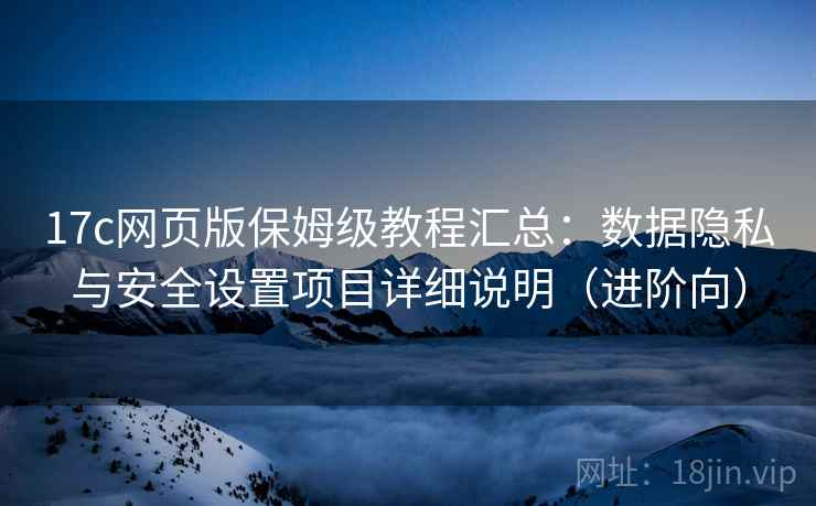 17c网页版保姆级教程汇总：数据隐私与安全设置项目详细说明（进阶向）