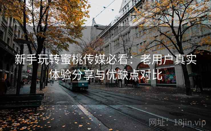 新手玩转蜜桃传媒必看：老用户真实体验分享与优缺点对比